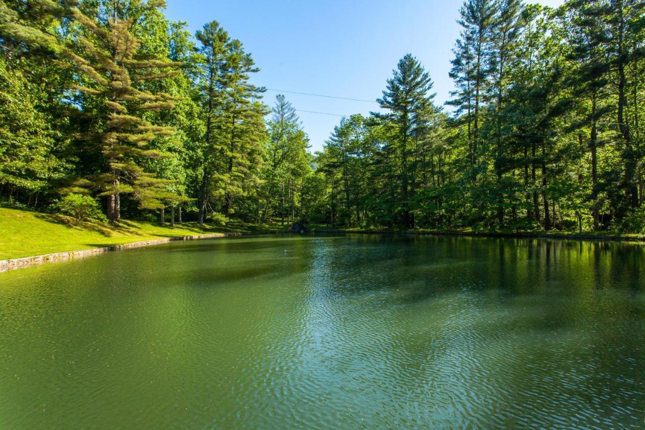Bull Creek Peaceful Escape Villa Asheville Ngoại thất bức ảnh