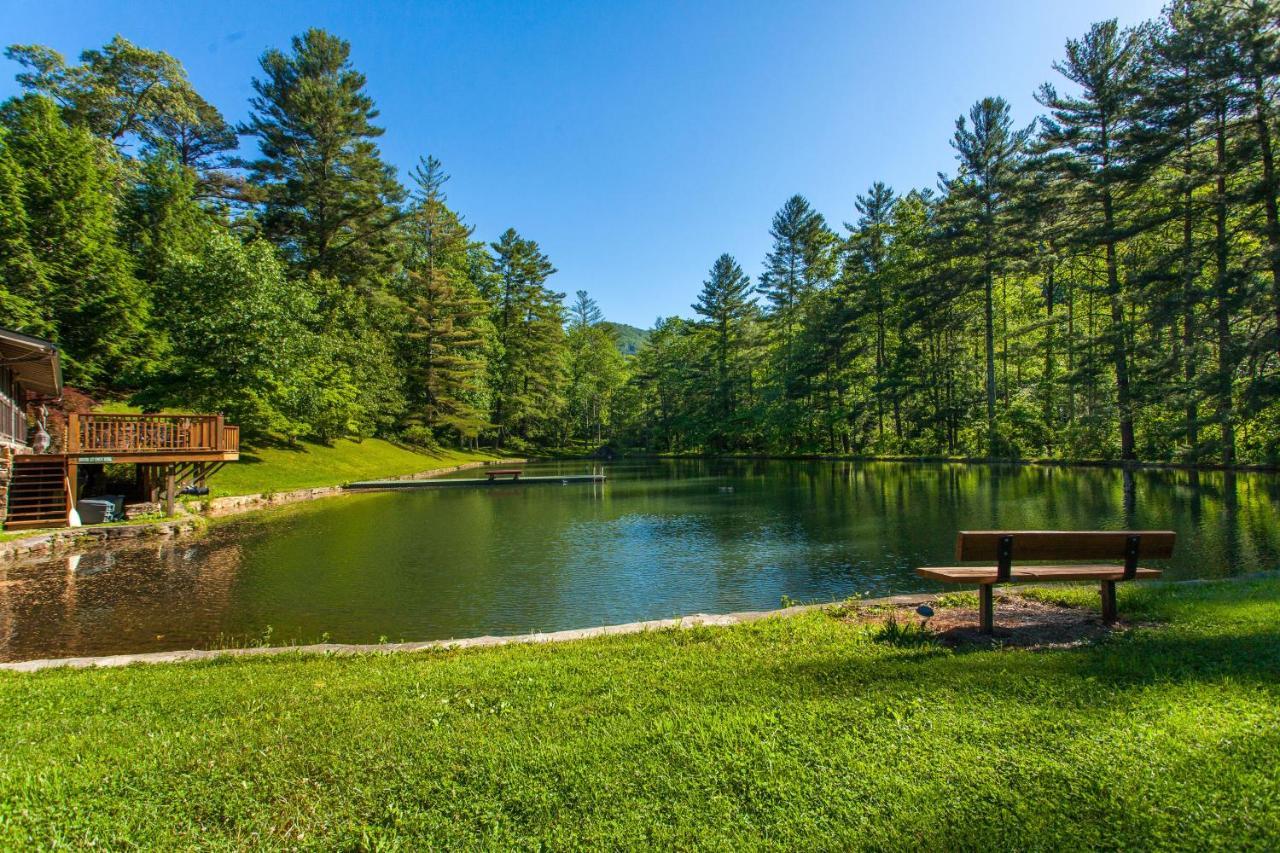 Bull Creek Peaceful Escape Villa Asheville Ngoại thất bức ảnh