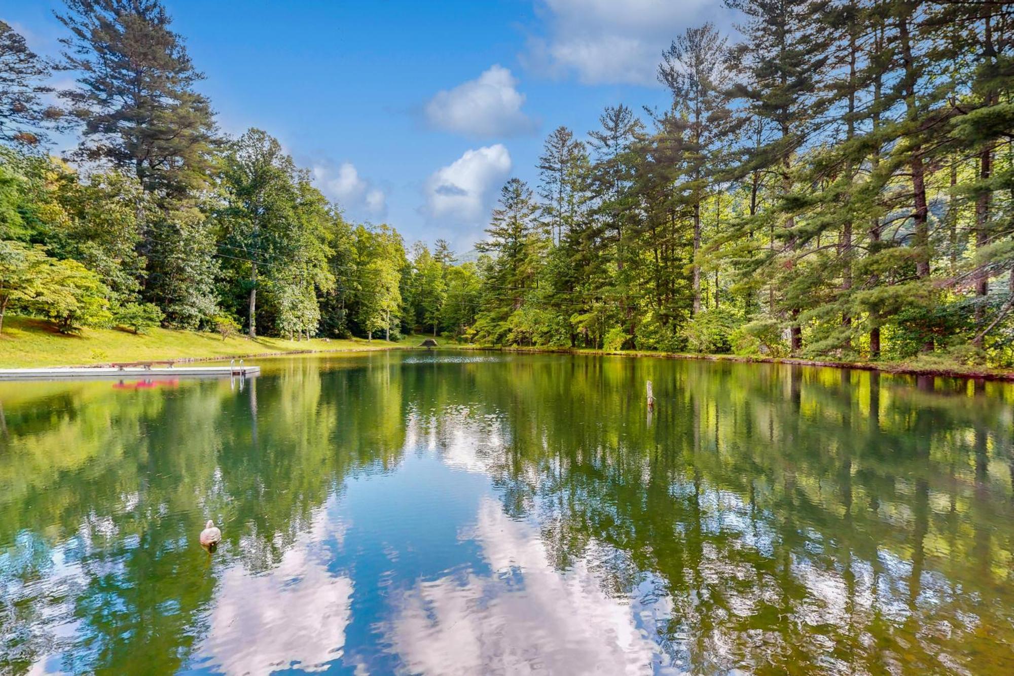Bull Creek Peaceful Escape Villa Asheville Ngoại thất bức ảnh